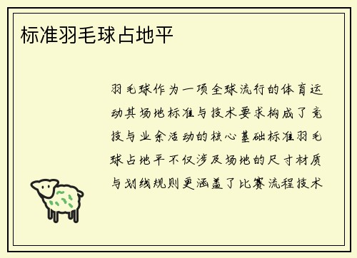 标准羽毛球占地平