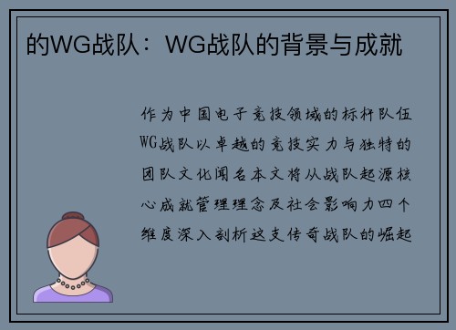 的WG战队：WG战队的背景与成就
